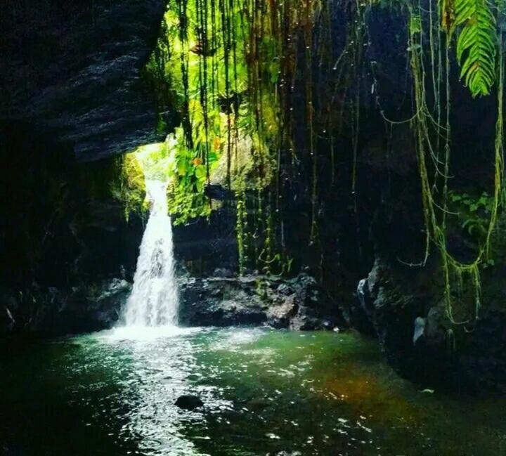 Asan Rinjani Homestay Tetebatu Esterno foto