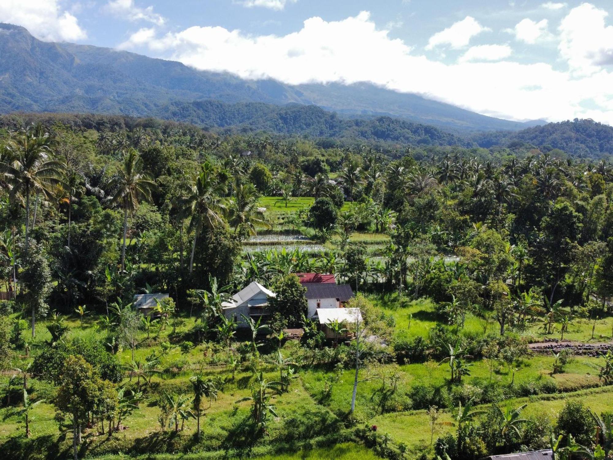 Asan Rinjani Homestay Tetebatu Camera foto