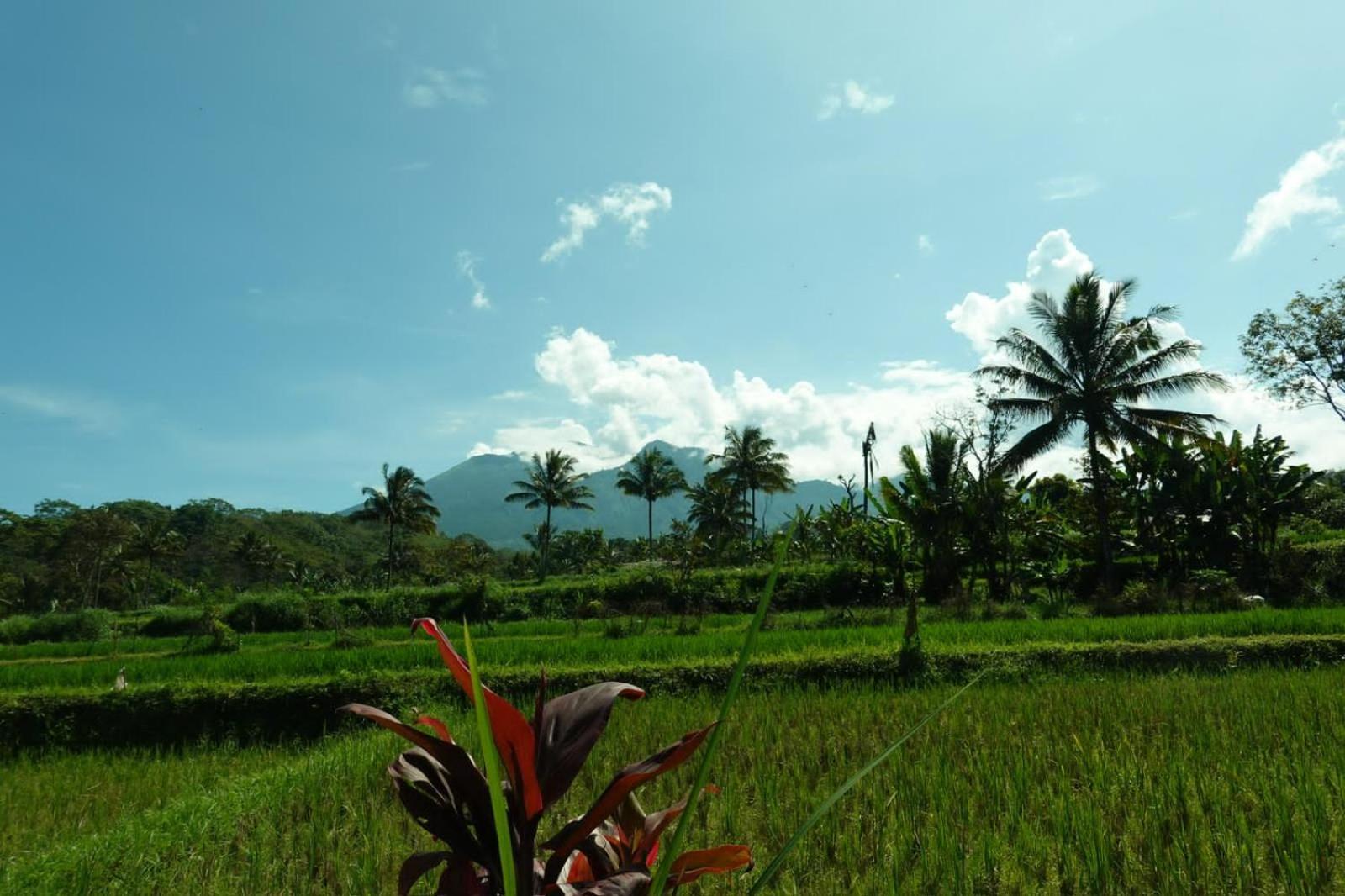 Asan Rinjani Homestay Tetebatu Esterno foto